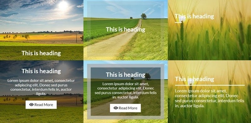 Sử dụng CSS hover effects Sử dụng CSS hover effects
