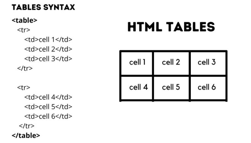 Table trong HTML Table trong HTML