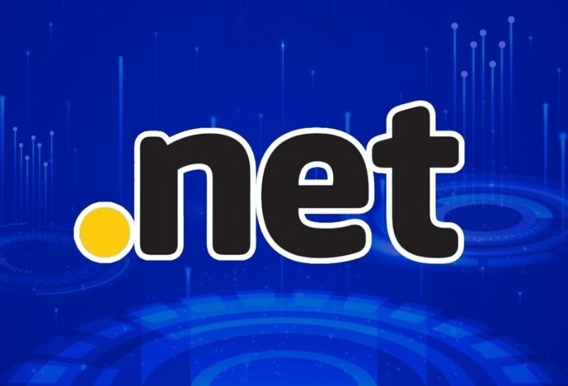 Tên miền đuôi .net là gì? Khám phá ý nghĩa tên miền .net