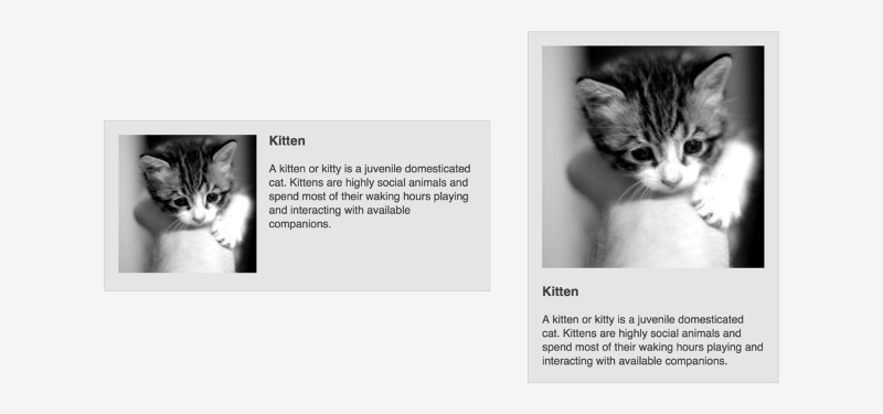 Text-align justify Text-align justify