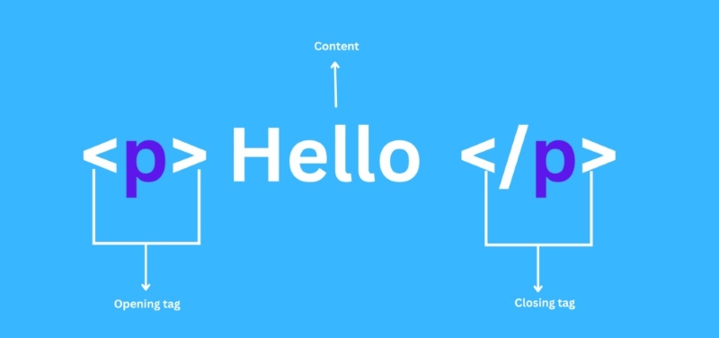 Thẻ p trong HTML là gì? Hướng dẫn sử dụng thẻ p hiệu quả
