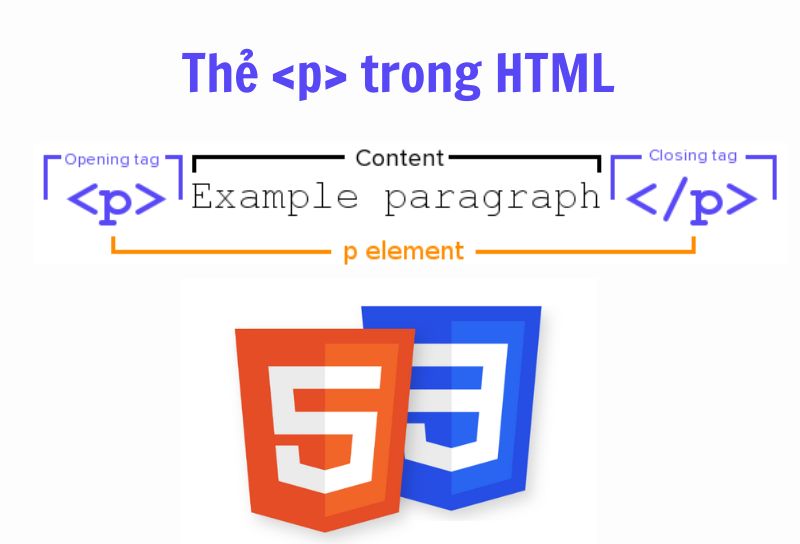 Thẻ p trong HTML là gì? Hướng dẫn sử dụng thẻ p hiệu quả