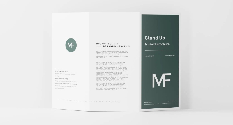 Thiết kế brochure gấp 3