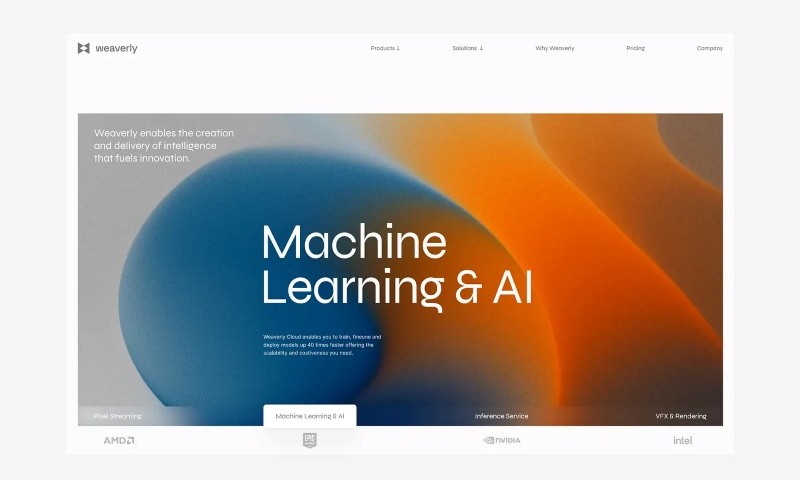Thiết kế experimental website