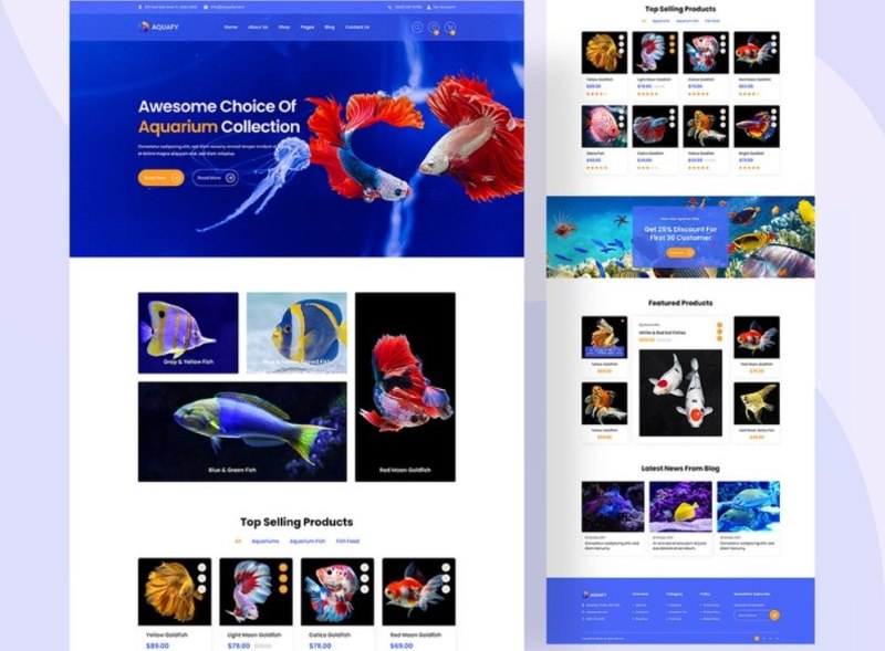 Thiết kế giao diện website cá cảnh Thiết kế giao diện website cá cảnh