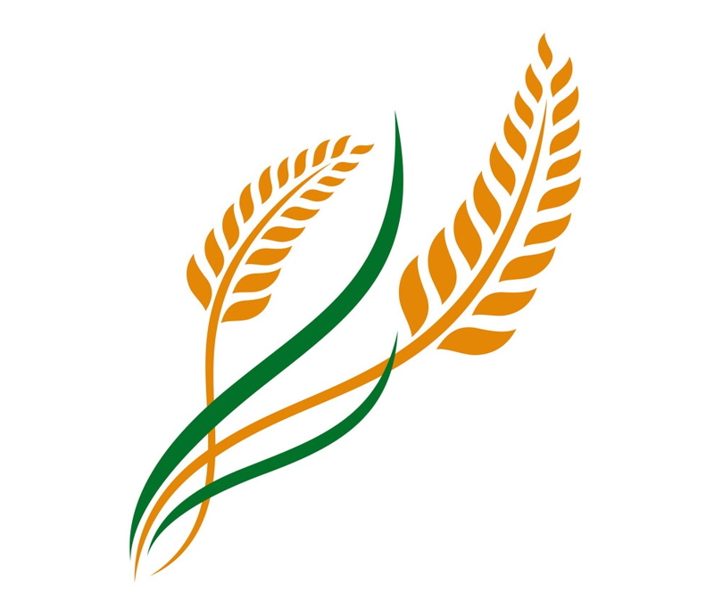 Thiết kế logo cửa hàng gạo