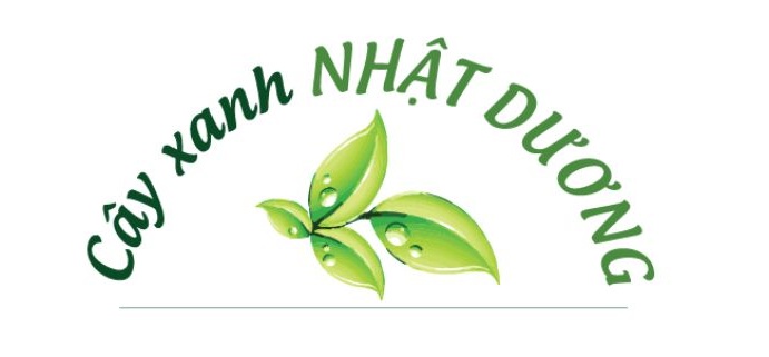 Thiết kế logo tại Lâm Đồng