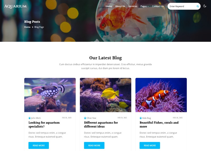 Thiết kế web bán cá cảnh Thiết kế web bán cá cảnh