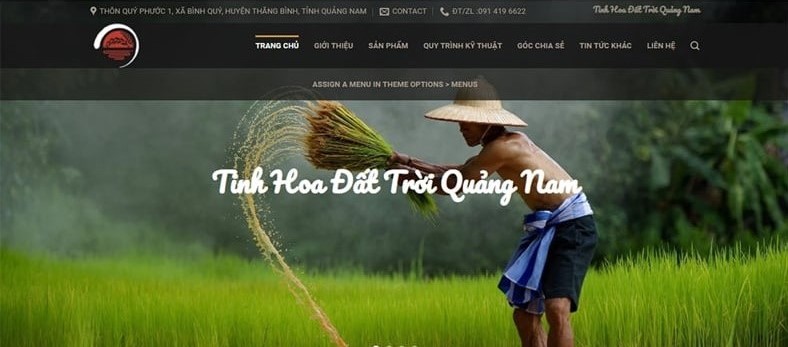 Thiết kế web bán gạo