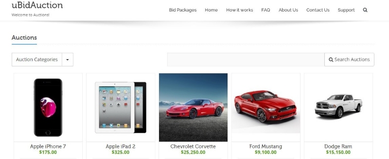 Thiết kế web đấu thầu
