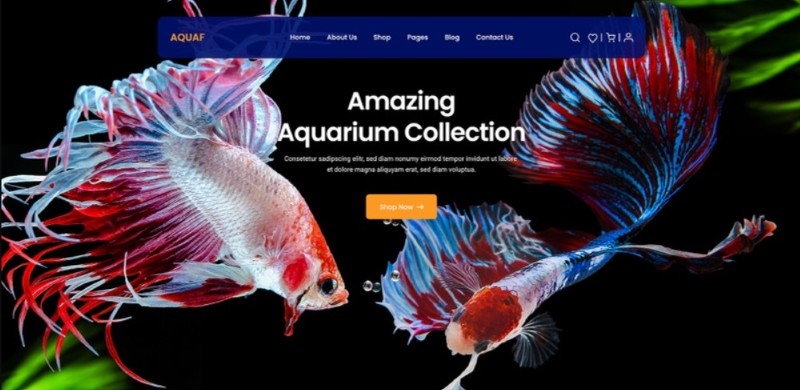 Thiết kế website cá cảnh đẹp Thiết kế website cá cảnh đẹp