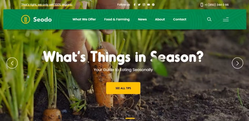 Thiết kế website du lịch nông nghiệp