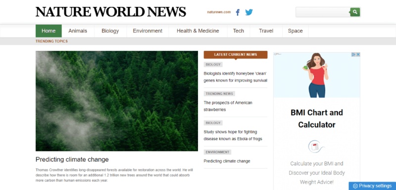 Thiết kế website enviroment