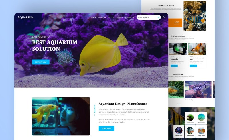 Thiết kế website kinh doanh cá cảnh Thiết kế website kinh doanh cá cảnh