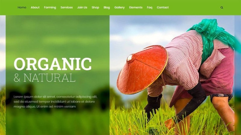 Thiết kế website lĩnh vực nông nghiệp