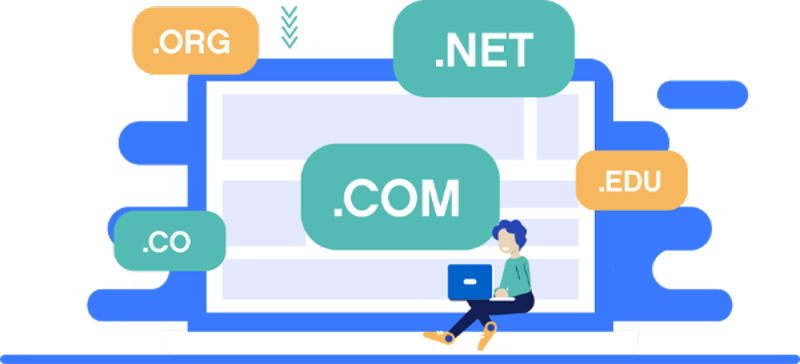 Tra cứu lịch sử domain