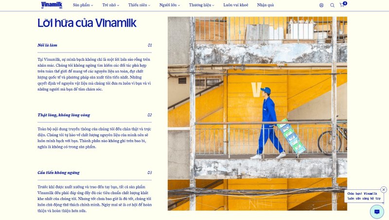 Trang giới thiệu đẹp Trang giới thiệu đẹp