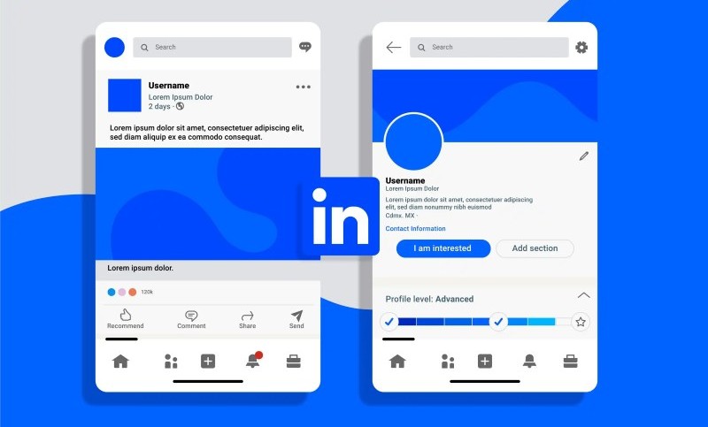 Trang web được truy cập nhiều