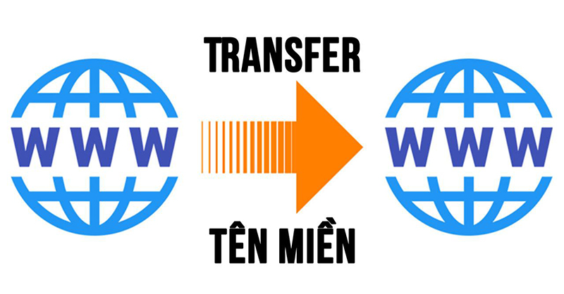 Transfer domain là gì?