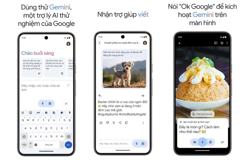 Web được truy cập nhiều