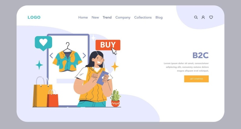 Website B2C là gì?
