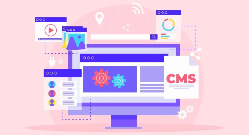 Website Headless CMS