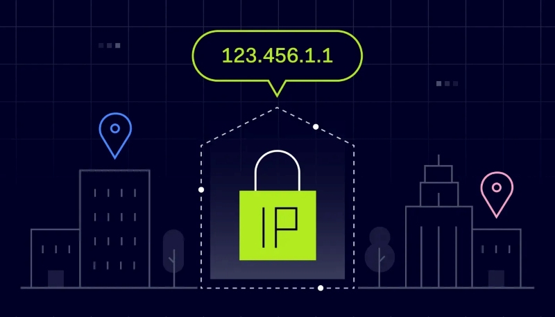 Website IP