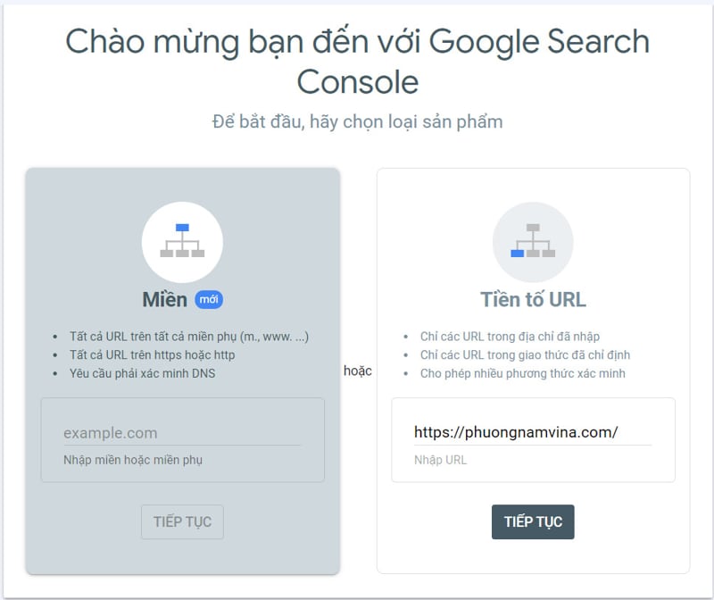 Website sau khi khởi tạo