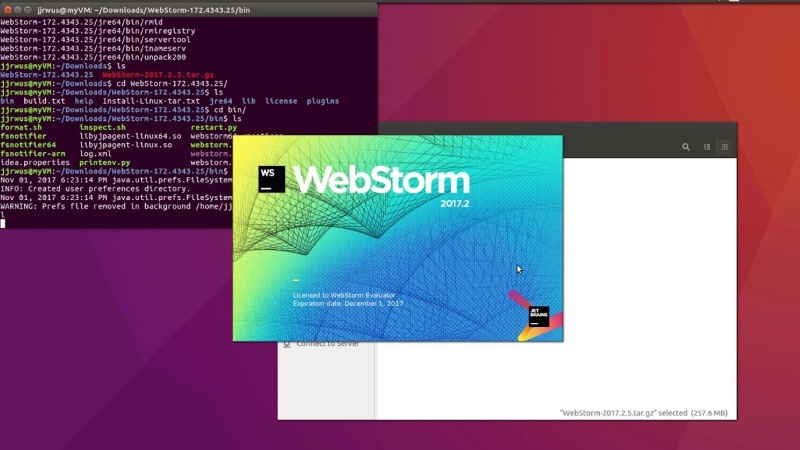 WebStorm IDE