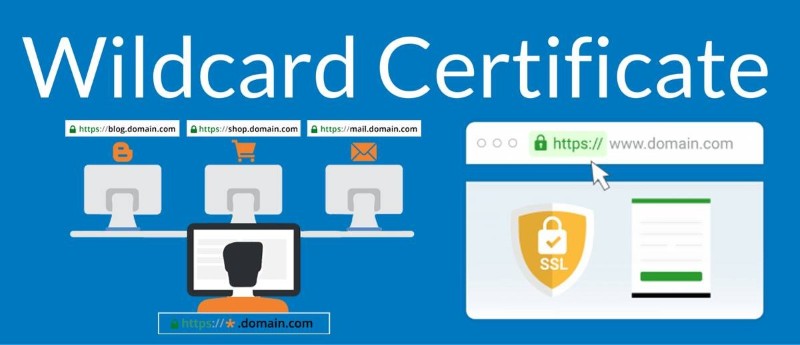 Wildcard SSL là gì? Cách hoạt động và bảo mật nhiều subdomain Wildcard SSL là gì? Cách hoạt động và bảo mật nhiều subdomain