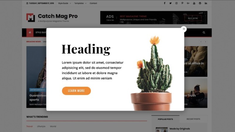 Xuất bản plugin popup