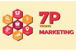 7P trong marketing là gì? Tất tần tật về mô hình 7P