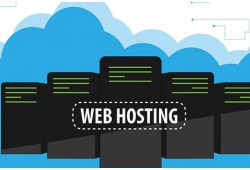 Cách kiểm tra hosting của website đơn giản nhất