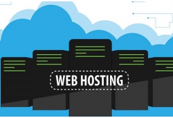 Cách kiểm tra hosting của website đơn giản nhất