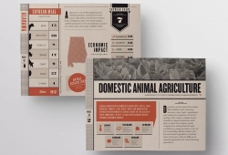 Cách làm brochure đẹp, chuyên nghiệp, hiệu quả và tiết kiệm