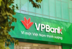 Thiết kế biển hiệu công ty đẹp, trọn gói, đúng quy chuẩn