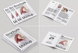 Dịch vụ thiết kế brochure chuyên nghiệp, ấn tượng, giá rẻ