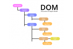 DOM là gì? Cấu trúc và vai trò của Document Object Model