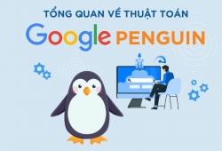 Google Penguin là gì? Cách nhận biết và khắc phục khi bị phạt