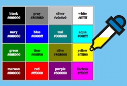 Mã HEX là gì? Cách đọc và sử dụng mã màu HEX cho website