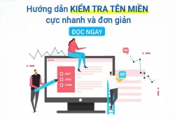 Cách kiểm tra lịch sử tên miền chi tiết và chính xác nhất