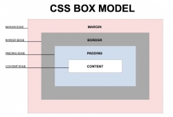 CSS box model là gì​? Làm chủ layout website với box model CSS
