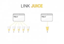 Link Juice là gì? Bật mí về sức mạnh của Link Juice trong SEO