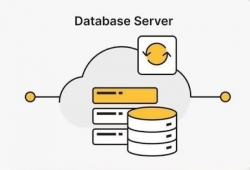 Database server là gì? Vai trò, phân loại và ứng dụng thực tế