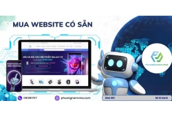 Mua website có sẵn | Lợi ích, rủi ro và lưu ý quan trọng