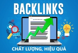 Nghệ thuật xây dựng backlink chất lượng giúp website bứt tốc