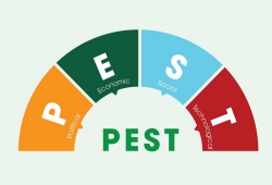 PEST là gì? Giải mã mô hình PEST và các ví dụ thực tiễn