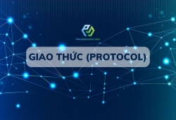 Giao thức là gì? Sức mạnh kỳ diệu của giao thức protocol