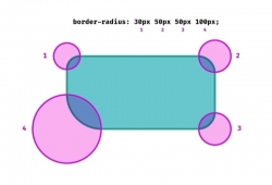 Border-radius là gì? Hướng dẫn sử dụng border-radius CSS
