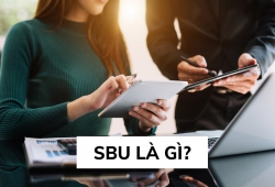 SBU là gì? Tầm quan trọng và cách áp dụng chiến lược SBU